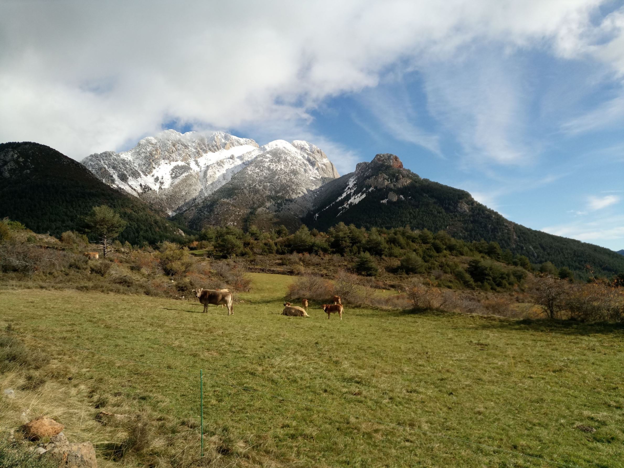 Berguedà Btt